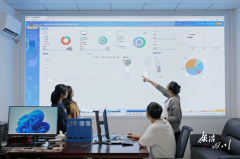 <strong>背后是否存在‘定制招标</strong>