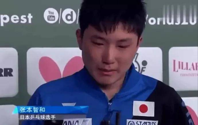 张本智和祭祖被拒引争议，身份认同困境引深思