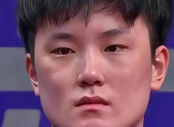 张本智和祭祖被拒引争议，身份认同困境引深思